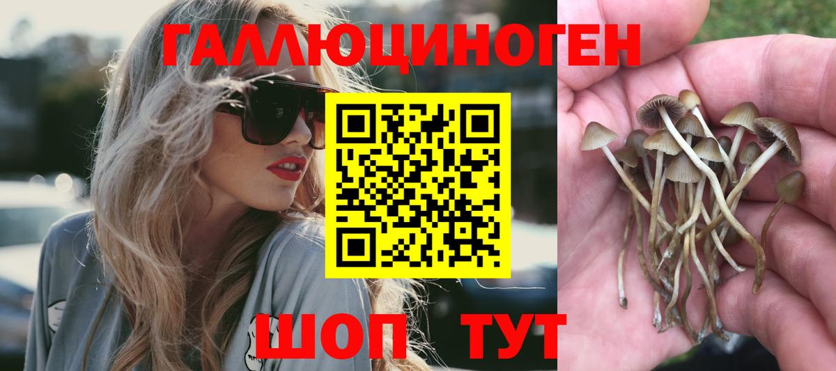 Псилоцибиновые грибы прущие грибы Сыктывкар